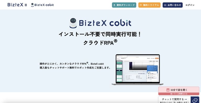 BizteX cobit