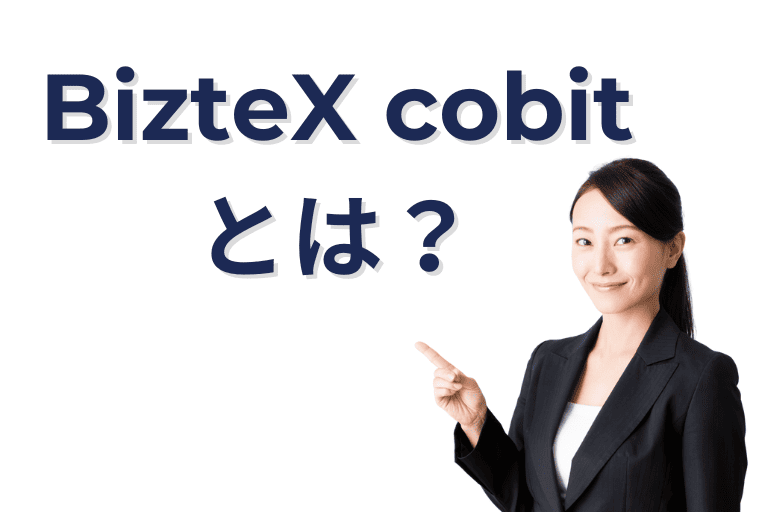 BizteX cobitとは