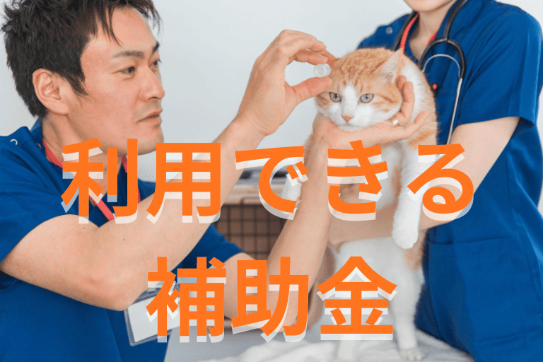 動物病院が業務を自動化する際に利用できる補助金