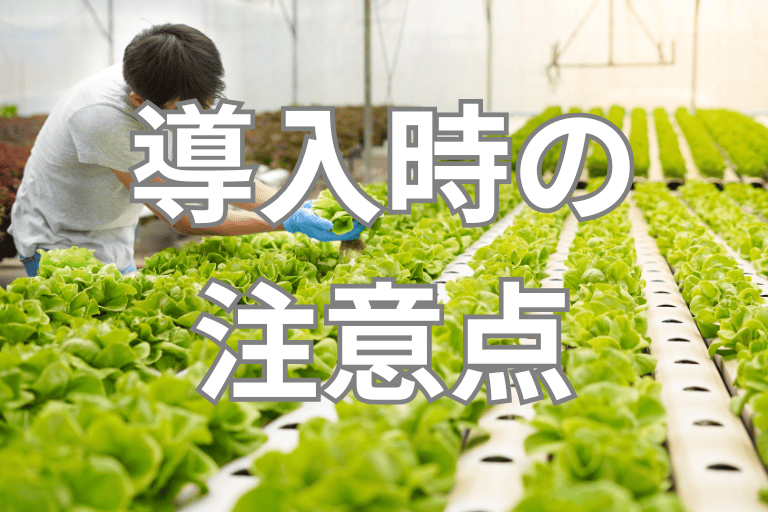 農業協同組合（JA）にRPAを導入する際の注意点