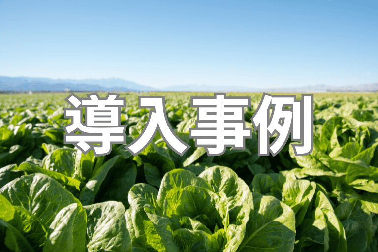 農業協同組合（JA）でのRPA導入事例